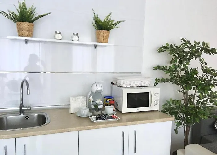 Apartamento 1 Centrico Garaje Wi-fi Para Trabajar * Castro Urdiales