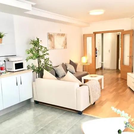 Apartamento 1 Centrico Garaje Wi-fi Para Trabajar Apartment