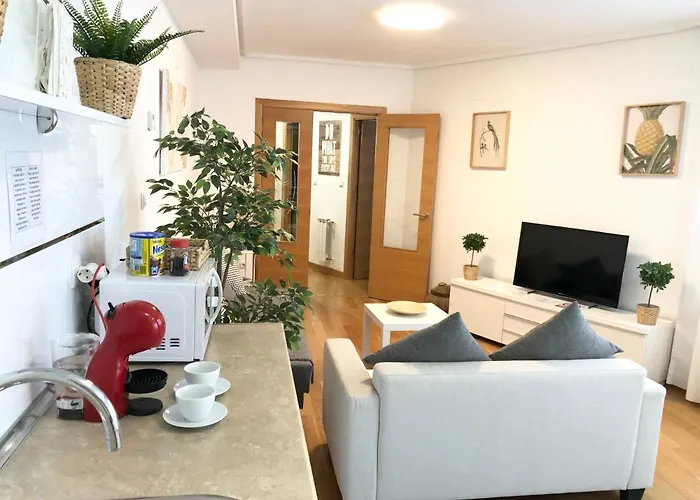 Apartamento 1 Centrico Garaje Wi-fi Para Trabajar